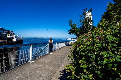 Seattle WA, USA - June 3, 2023:  People enjoy activities along the Seattle Waterfront Pathway in Myrtle Edwards Park on a sunny day.