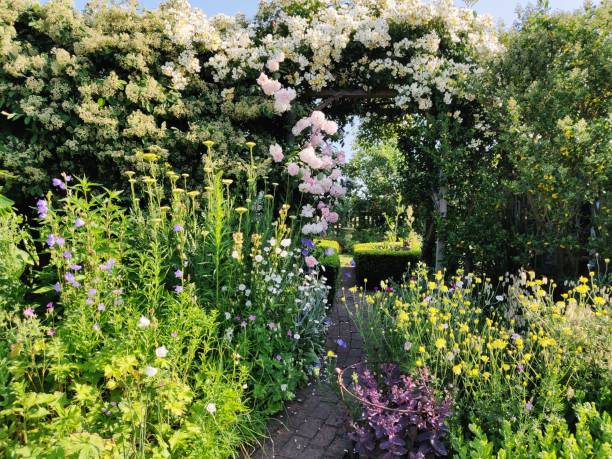 istock English cottage garden 1500420334