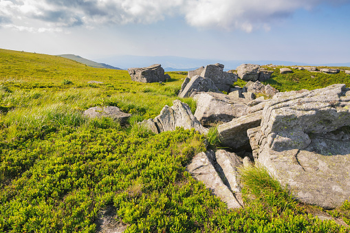 mountain landscape with stones and rocks. countryside scenery of carpathian highlands. grassy meadows on a sunny day