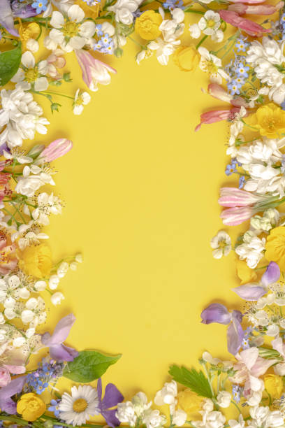 istock floral frame from different wildflowers on a light yellow background. Template for advertising and presentation of cosmetic products. Vertical photo 1500424076