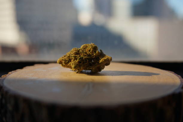 Nug cannabis flower city view stock photo