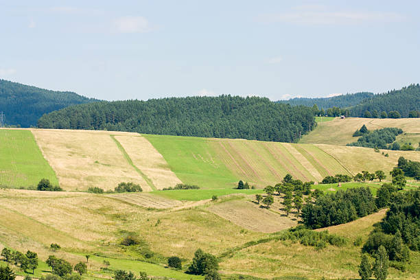 istock Beskids in Summer 150043007