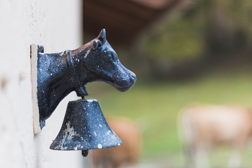 A selective focus shot of a metal cow-shaped bell on the side of a barn