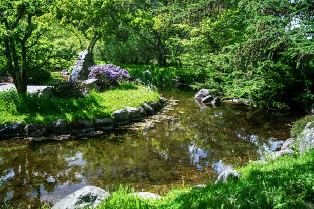 istock Japanese pond in amazing May 1500430827