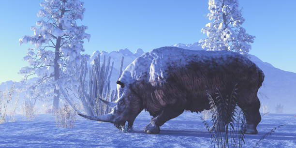 istock Woolly Rhinoceros 1500430957