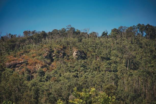 istock rock with face in the mountains in autumn 1500435220