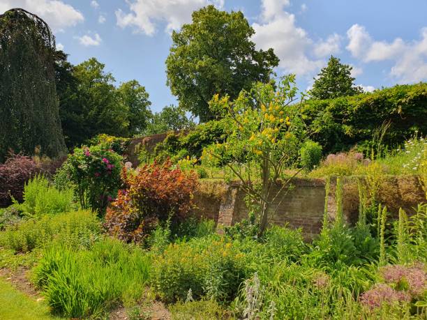 istock A garden with various coloured flowers 1500437233