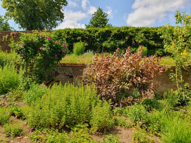 istock A garden with various coloured flowers and trees 1500437237