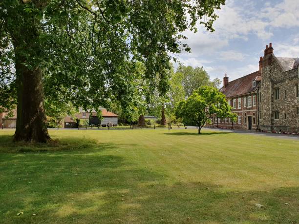 istock A large lawn with trees and a building 1500437363