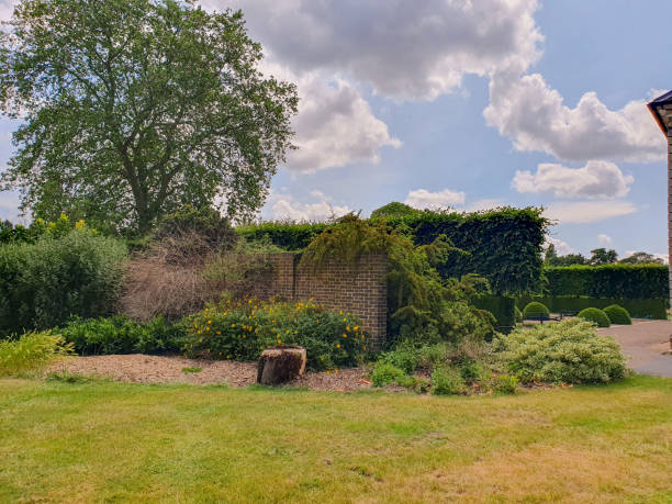 istock A garden with bushes and trees 1500437402