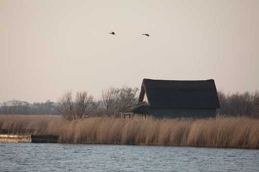 Horsey Mere at dusk in February, Norfolk, England, United Kingdom