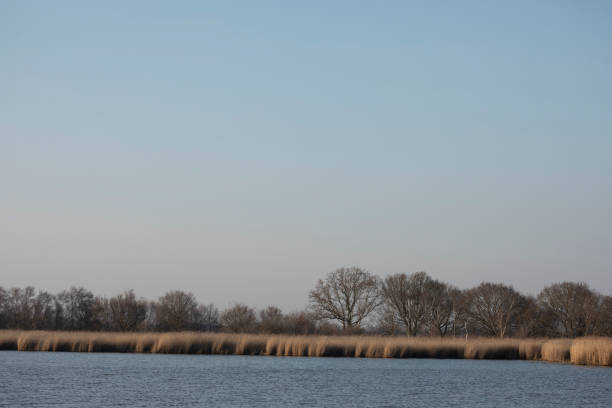 Horsey Mere at dusk in February, Norfolk, England, United Kingdom
