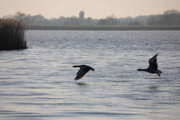 Horsey Mere at dusk in February