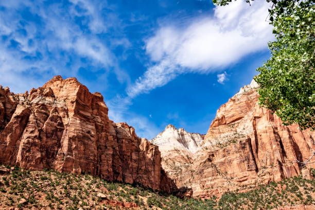 istock Mountains in Zion National Park 1500439431