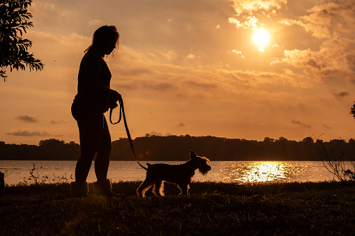 silhouette of a woman and a dog walking at a beautiful sunset