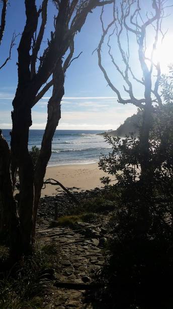 istock Beach scene, Noosa, QLD 1500446431