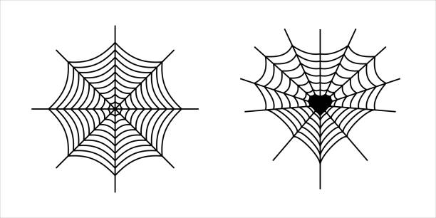 spider web element. gothic tattoo art symbol spider web element. gothic tattoo art symbol spider tribal tattoo stock illustrations