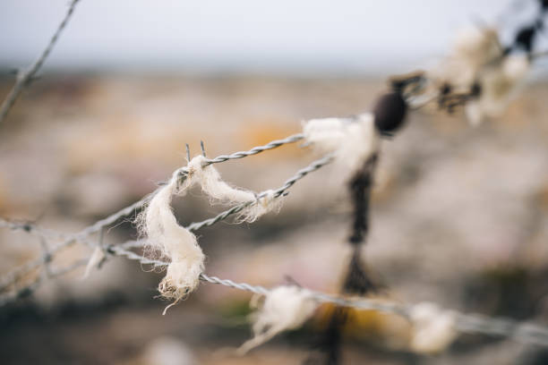 Selective focus