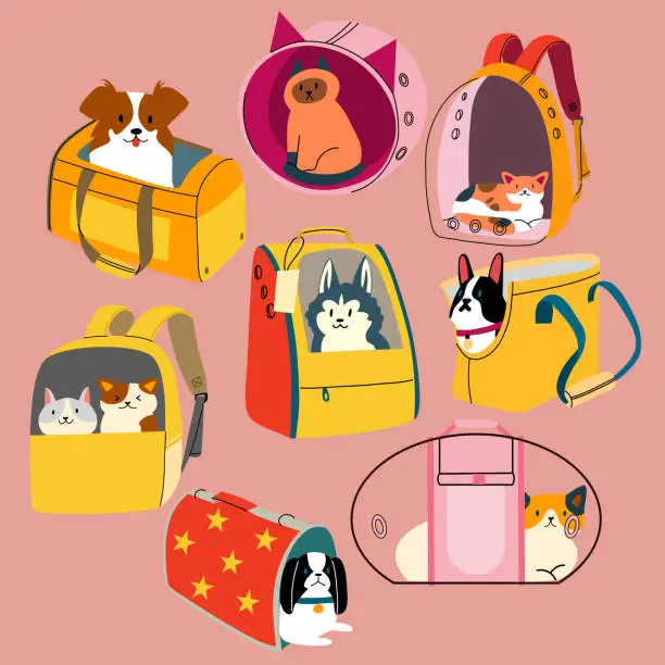 Vector illustration of The set of different pet carriers. Travel bags for cats and dogs. Transportation of animals.