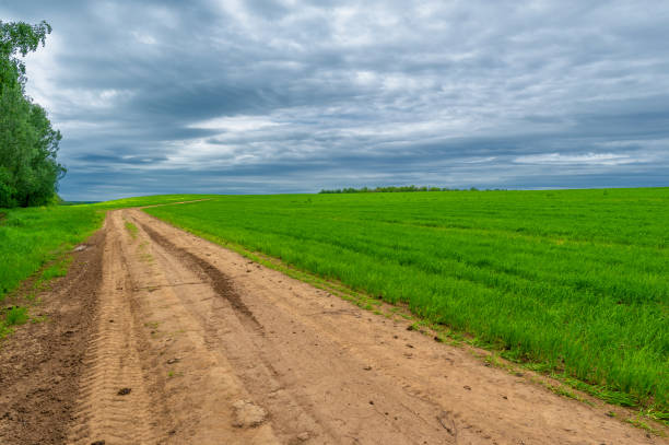 photographie printanière, paysage rural, chemin de terre à travers de jeunes champs de blé, un large chemin menant d’un endroit à un autre, en particulier avec une surface spécialement préparée que les véhicules peuvent utiliser. - road long dirt footpath photos et images de collection