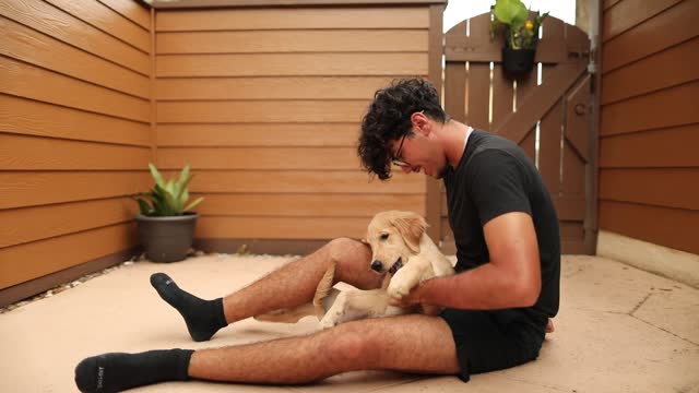 An 18-Year-Old Young Man with Brown Hair & Brown Eyes Wearing Black Clothing & Glasses, Playing & Training His Golden Retriever Puppy Dog at Home on a Gated Patio on a Spring Evening in South Florida