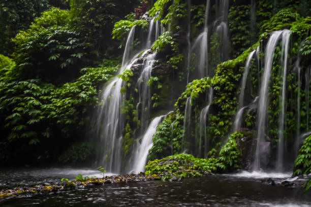 istock Beautiful Banyu Wana Amertha Waterfall which is located in Wanagiri, Sukasada, Buleleng, Bali, Indonesia. A natural tall waterfall with lots of plants on the rocks with a natural pool at the bottom. 1500464317