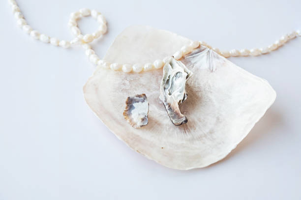 istock Handcraft earrings made from seashells. 1500467616