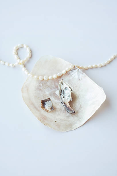 istock Handcraft earrings made from seashells. 1500467623