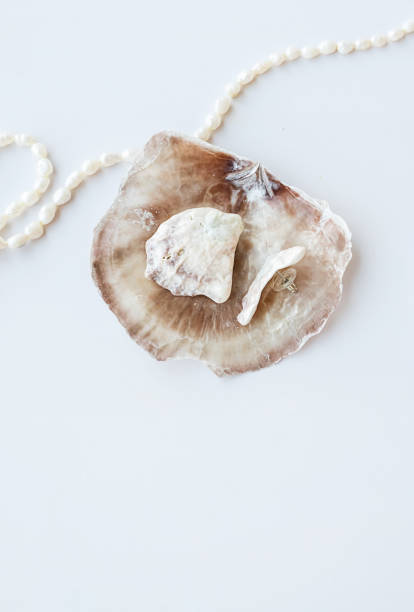 istock Handcraft earrings made from seashells. 1500467635
