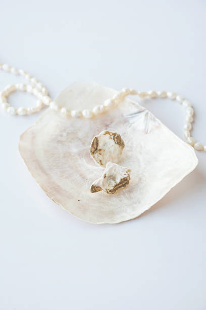 istock Handcraft earrings made from seashells. 1500467656