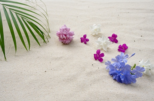 Palm leaf and flowers on sand beach for your holiday background design.
