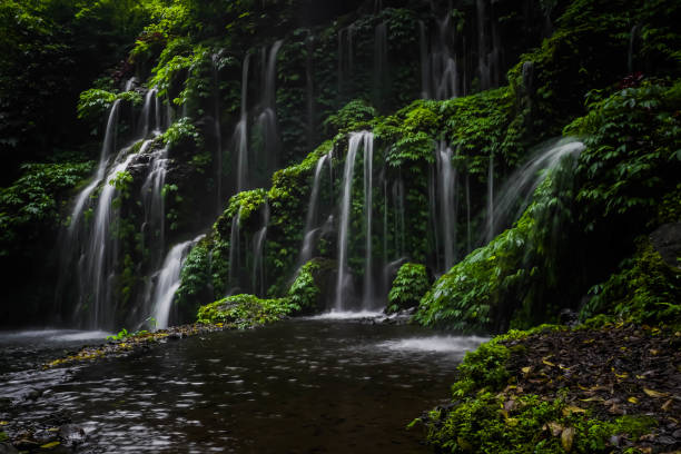 istock Beautiful Banyu Wana Amertha Waterfall which is located in Wanagiri, Sukasada, Buleleng, Bali, Indonesia. A natural tall waterfall with lots of plants on the rocks with a natural pool at the bottom. 1500474009