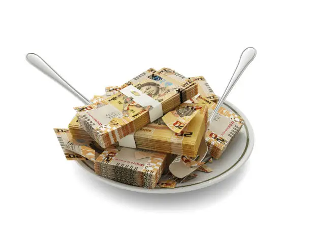 Photo of 3D rendering Sierra Leonean Leone notes on plate. Money spent on food concept. Food expenses, expensive meal, spending money concept. eating money, misuse of money