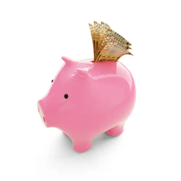 Photo of Sierra Leonean leone inside pink Piggy Bank, money in piggy bank, savings concept, 3d rendering
