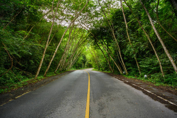 istock Empty centered road with yellow lines leading symmetrical through valley in Thai jungle. 1500477308