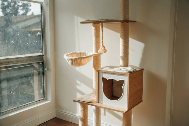 istock wooden cat tree in modern house. A cat tree is an artificial structure for a cat to play. 1500477412