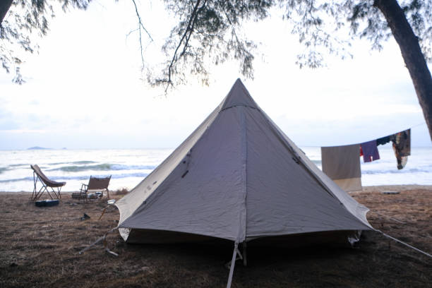 istock Family camping tent on beach front with pine tree forest 1500480225