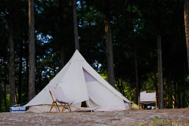 istock Family camping tent on beach front with pine tree forest 1500480244