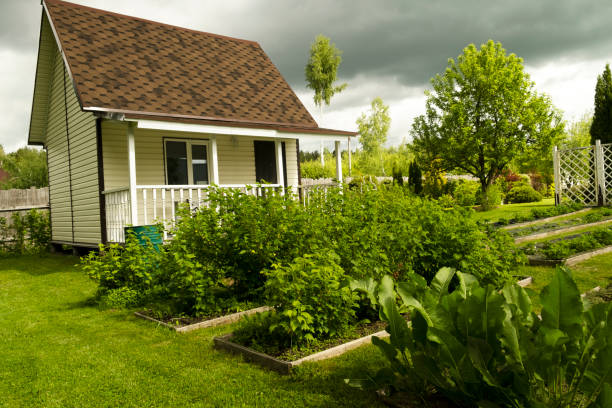 istock Beautiful and well-groomed garden bed on the garden plot. 1500481856