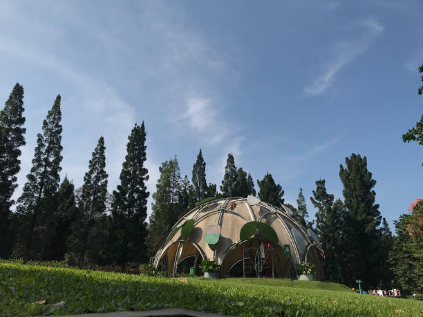 a unique stage view in the Bogor Botanical Gardens