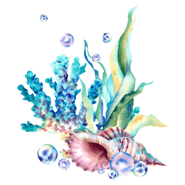 istock Sea corals, algae and shells. Watercolor illustration on an isolated background. Marine animals. Blue corals. 1500487155