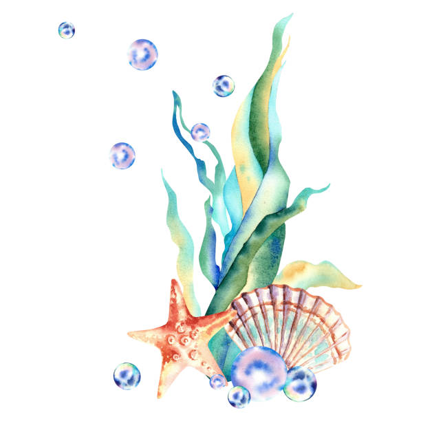 istock Marine composition. Algae, starfish and bubbles. Watercolor illustration. Underwater animals. 1500487198
