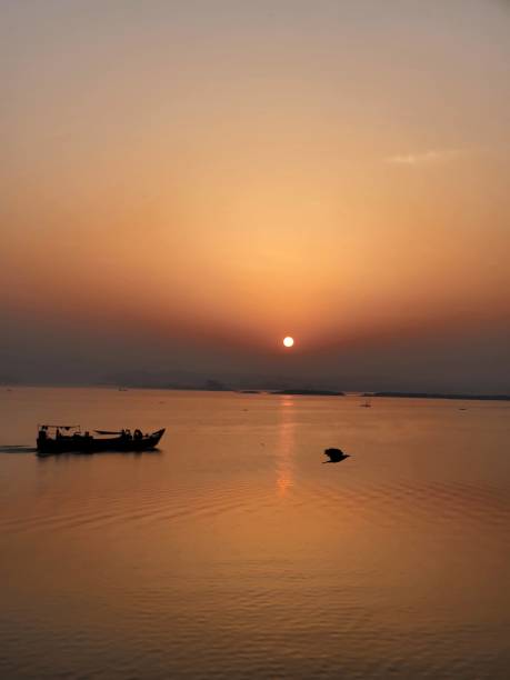 istock The boat and the bird start journey with Sunrise. 1500487959