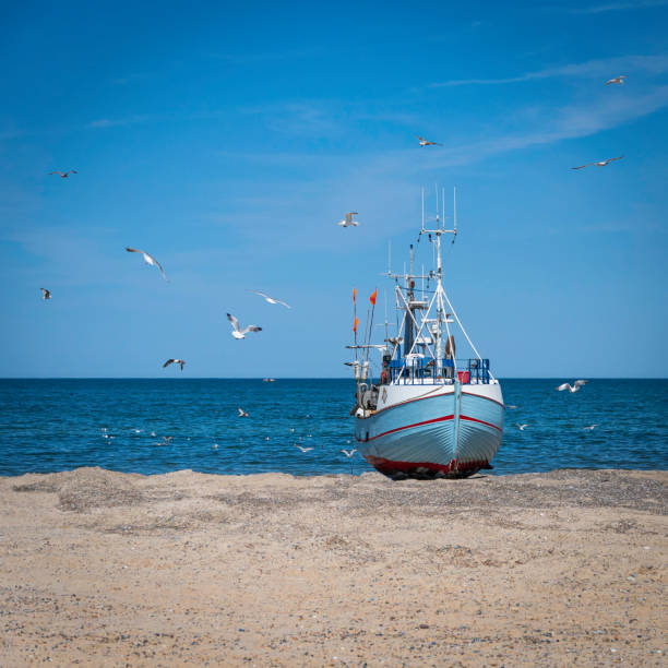 istock fishing boat on the beach 1500489992