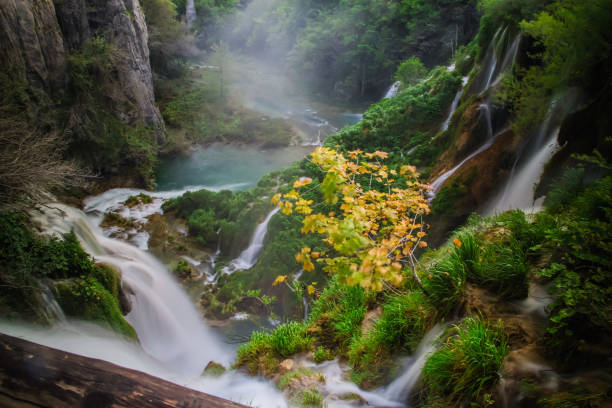 istock Plitvice lakes national park, Croatia 1500495006