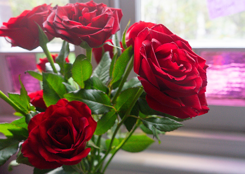 Bouquet of red roses in front of a stained glass window