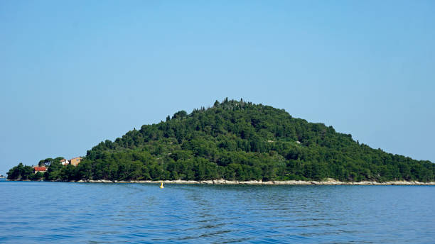 scenic landscape in dalmatia in croatia