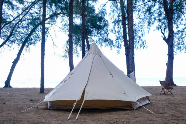 istock Family camping tent on beach front with pine tree forest 1500496800