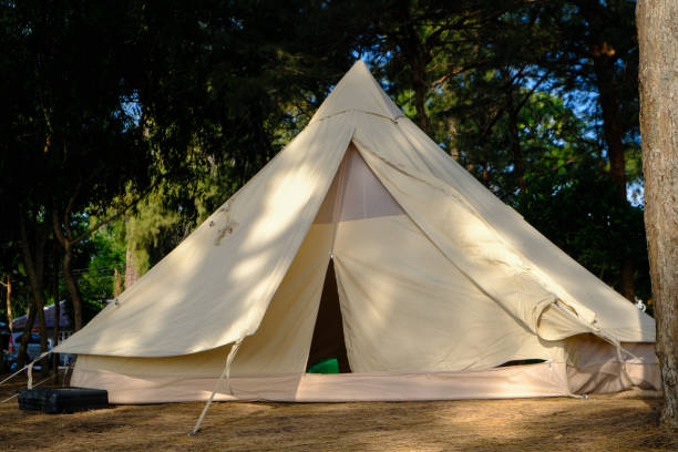 istock Family camping tent on beach front with pine tree forest 1500496802