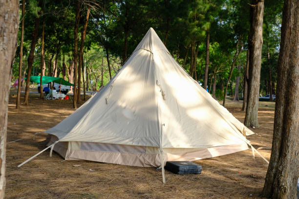 istock Family camping tent on beach front with pine tree forest 1500497561